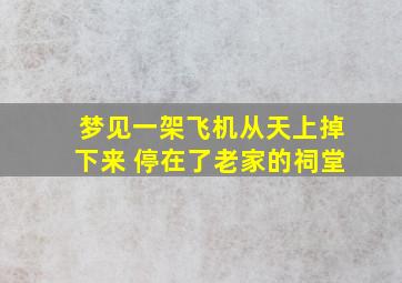 梦见一架飞机从天上掉下来 停在了老家的祠堂